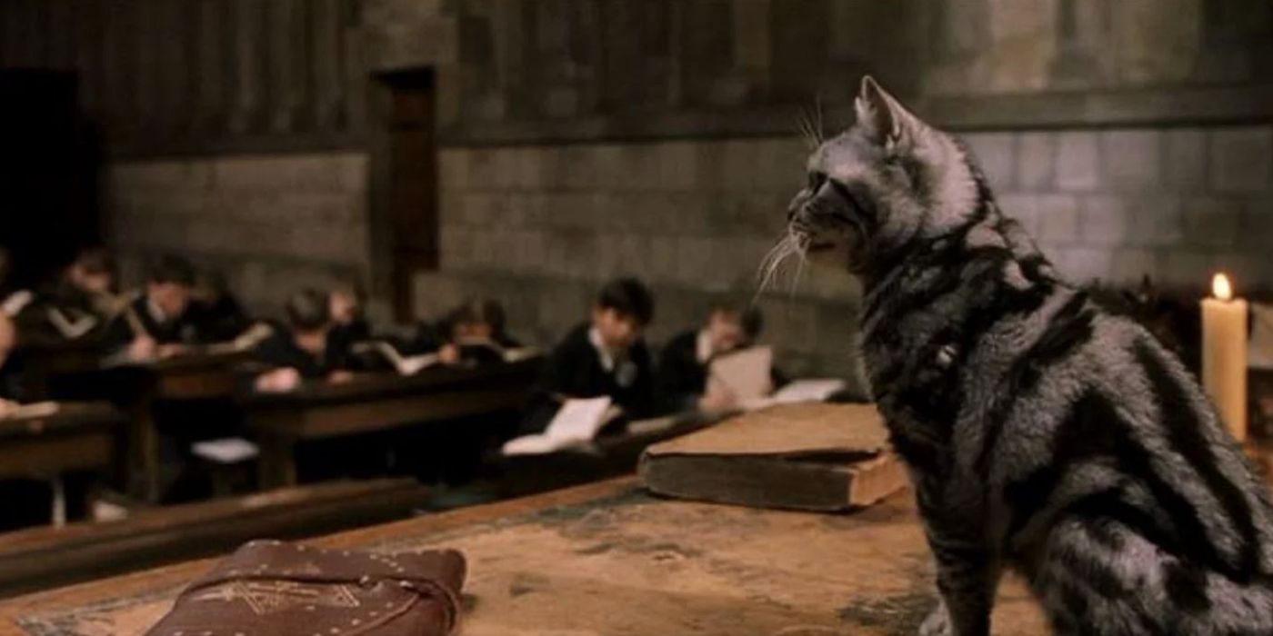 Los 10 mejores momentos de Maggie Smith como la profesora McGonagall en Harry Potter