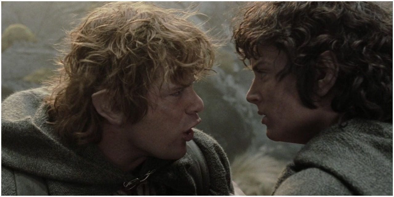 was sam and frodo gay