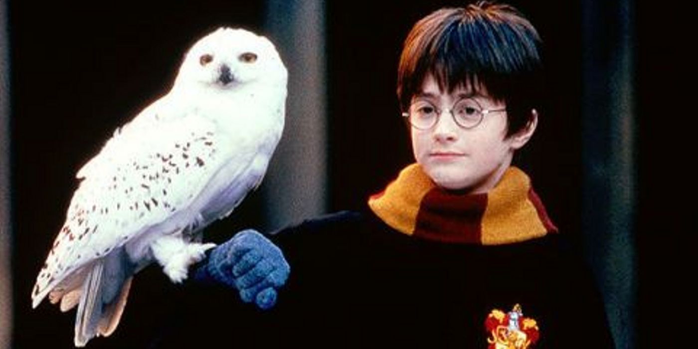 20 Harry Potter Moments That Made Fans Cry