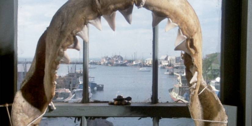10 Hidden Details You Never Noticed In Jaws