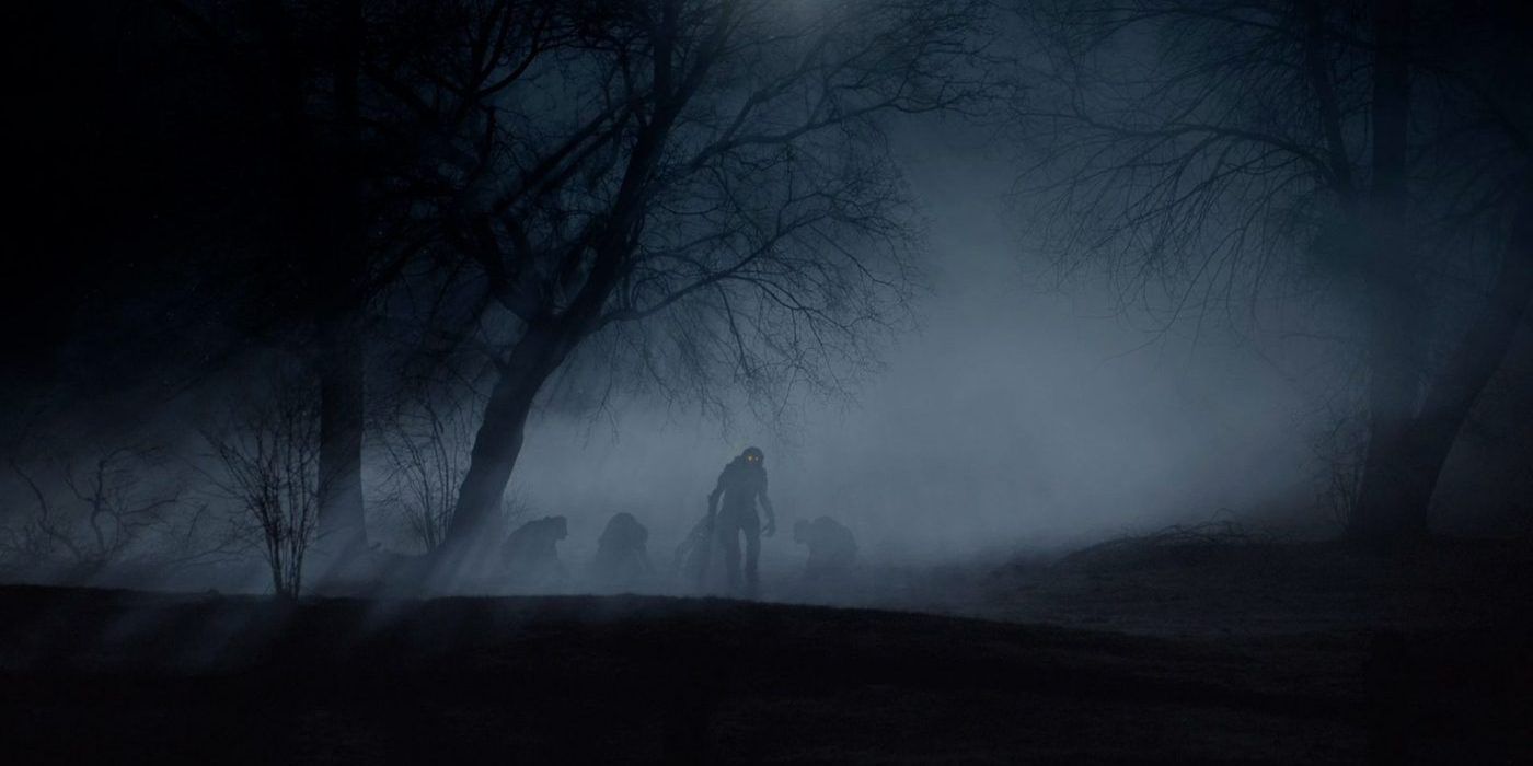 Paranormal Witness 5 Best & Worst Episodes According to IMDb