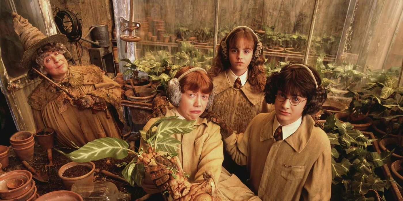 Harry Potter 5 Kindest (And 5 Meanest) Hufflepuffs