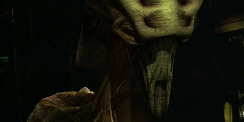Star Trek: 5 Species The Borg Would Love To Assimilate (& 5 They Would ...