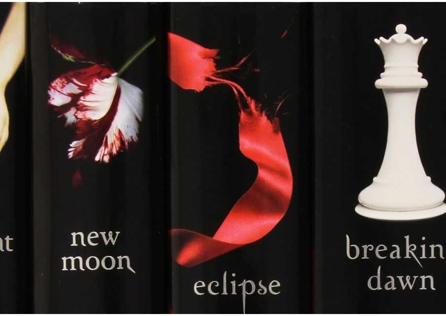 Twilight Saga 5 Book Set