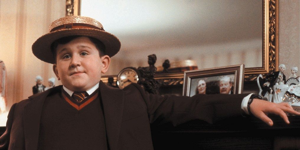 10 Most Dangerous Situations The Dursleys Put Harry Through Ranked