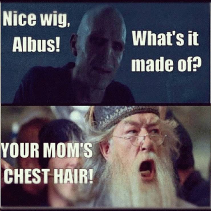 Harry Potter 10 Hilarious Voldemort Logic Memes That Are Too Funny