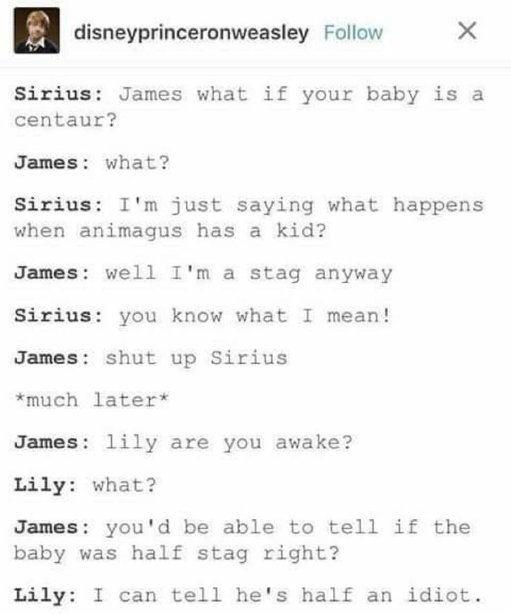Harry Potter 10 Hilarious Marauders Memes Only True Fans Will