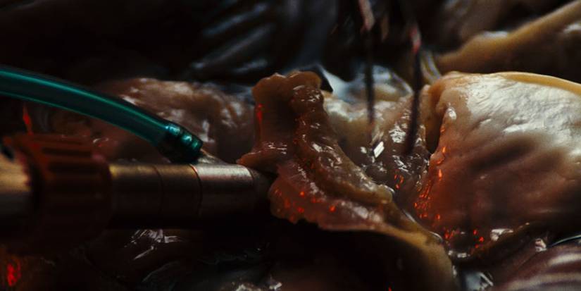 15 Hidden Details Everyone Missed In The Original Alien