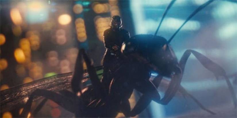 The 10 Best Animal Sidekicks In The MCU, Ranked