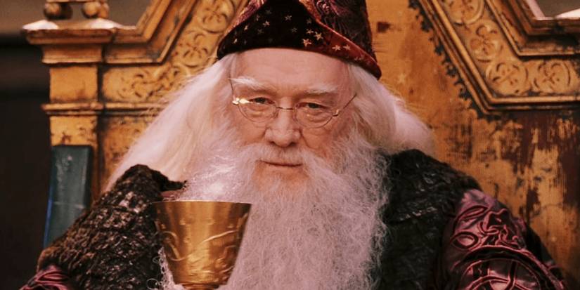 Dumbledore Robe Book Harry Potter: 10 Hidden Details About Albus Dumbledore’s Costumes You ...