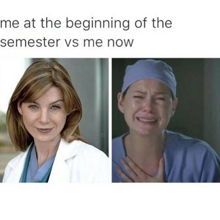 Grey S Anatomy 10 Hilarious Meredith Memes Only True Fans Will Understand Grey S Anatomy 10 Hilarious Meredith Memes Only True Fans Will Understand