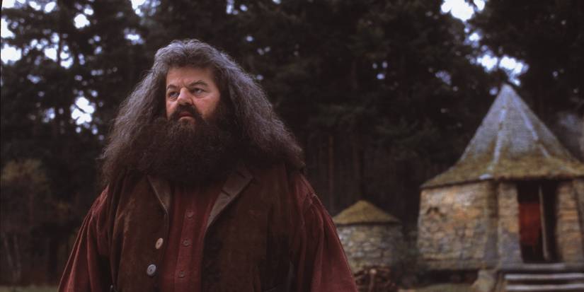 Hagrid Cropped