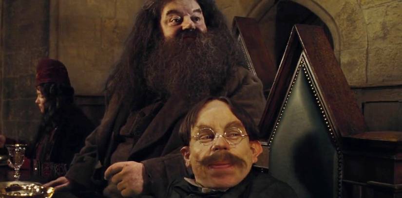 Hagrid and Flitwick Care of Magical Creatures