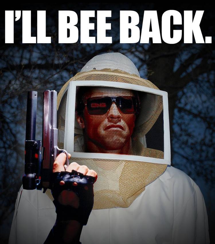 Terminator: 10 Hilarious Memes Only True Fans Will Understand