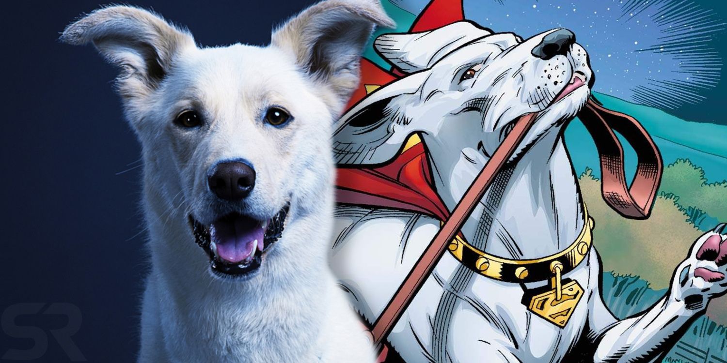TITANS: Krypto The Superdog's Origins \u0026 Powers Explained, image size:1500x750