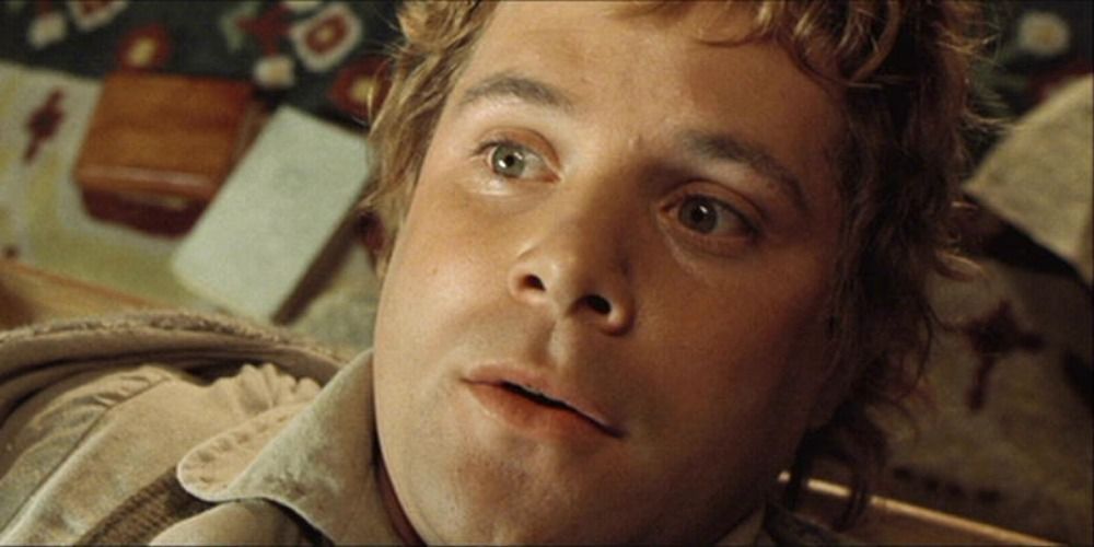 Samwise Gamgee looking scared after being caught eavesdropping inThe Lord of the Rings The Fellowship of the Ring