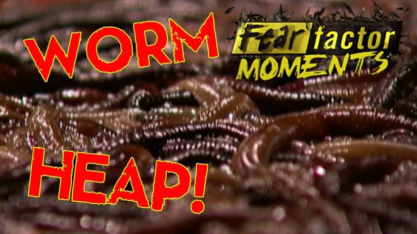 Fear Factor: The 10 Most Cringe-Worthy Challenges