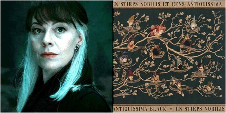 Harry Potter 15 Things You Never Knew About Narcissa Malfoy
