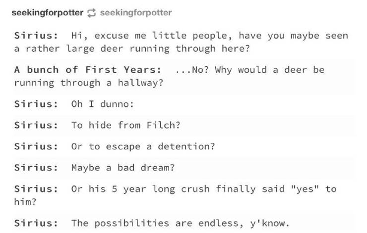 Harry Potter 10 Hilarious Marauders Memes Only True Fans Will