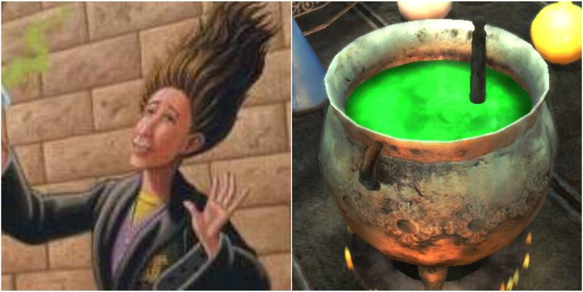 Harry Potter: The 10 Easiest Potions To Make