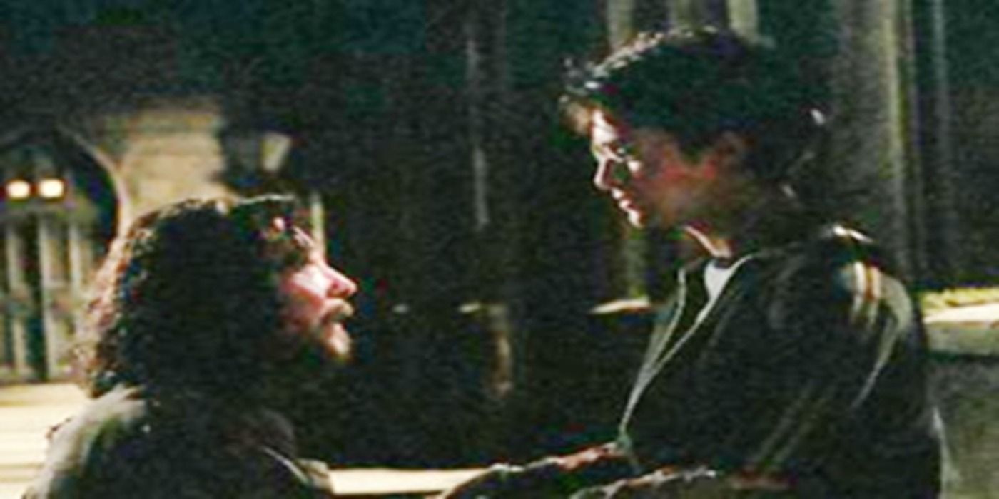 Harry Potter 5 Ways Hagrid Was Actually The Best Father Figure in Harry’s Life (& 5 It Was Sirius)