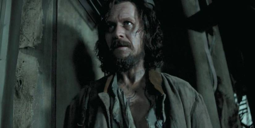Harry Potter: 10 Sirius Traits & Mannerisms From The Book Gary Oldman Nails