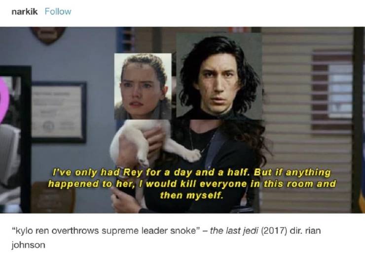 Funny Cat Pictures Memes Quotes Kylo Ren Cat Meme