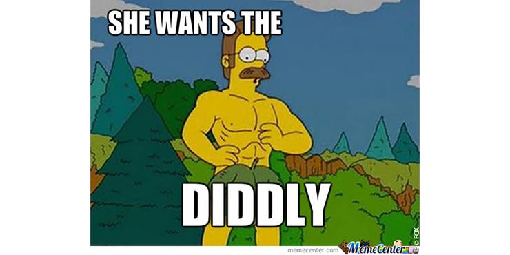The Simpsons 10 Funniest Ned Flanders Memes Only True Fans Will