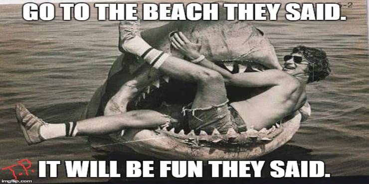 5-Jaws-Meme-Go-To-The-Beach-They-Said.jpg