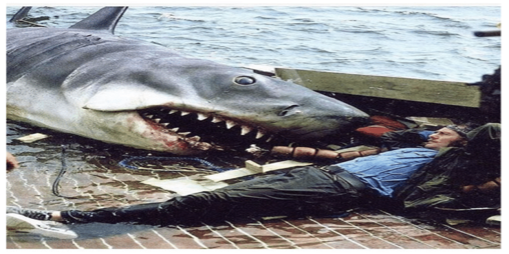 10 Jaws Logic Memes That Are Too Hilarious For Words Screenrant