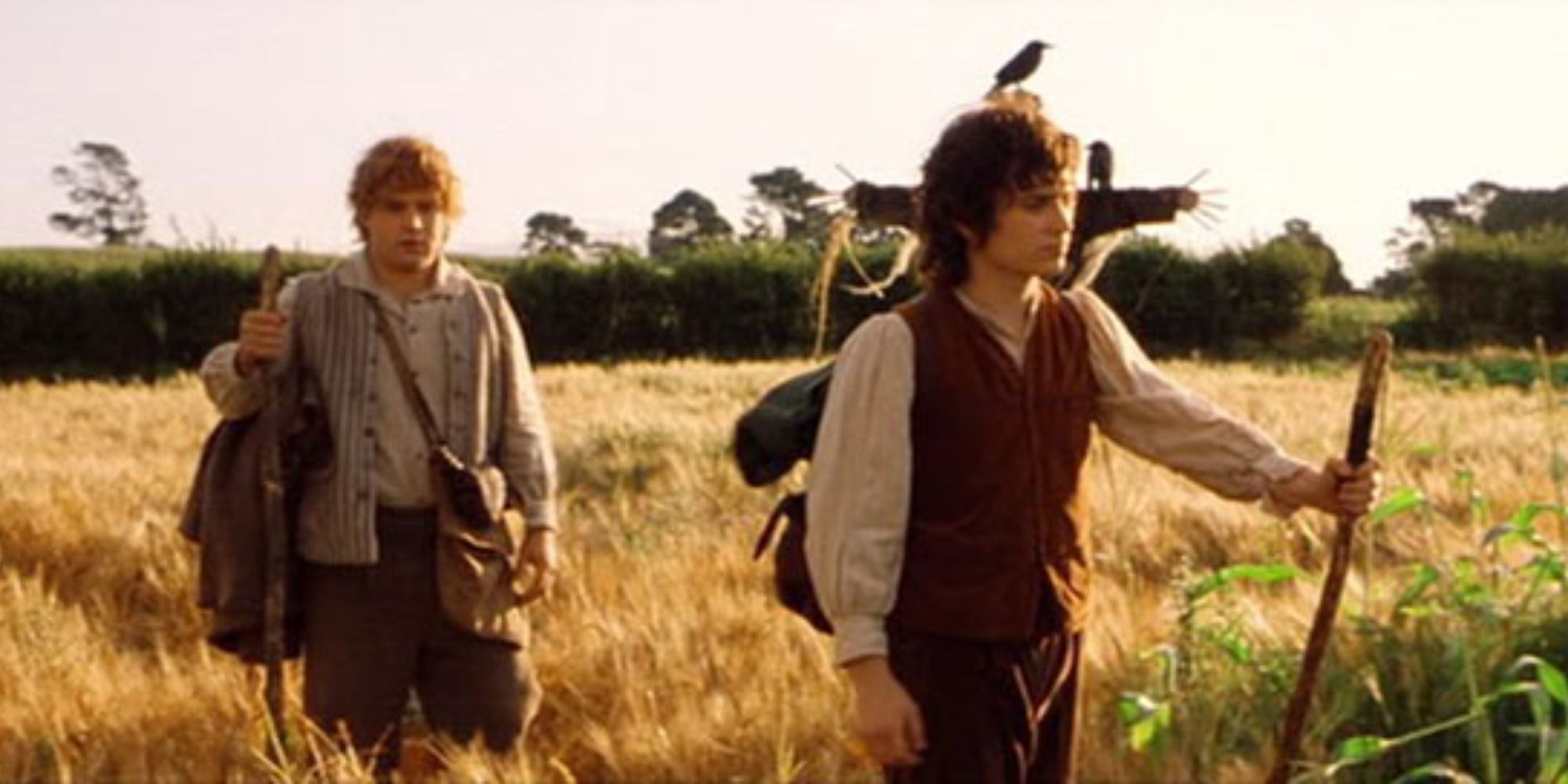 Frodo and Sam walking in The Lord of the Rings The Fellowship of the Ring