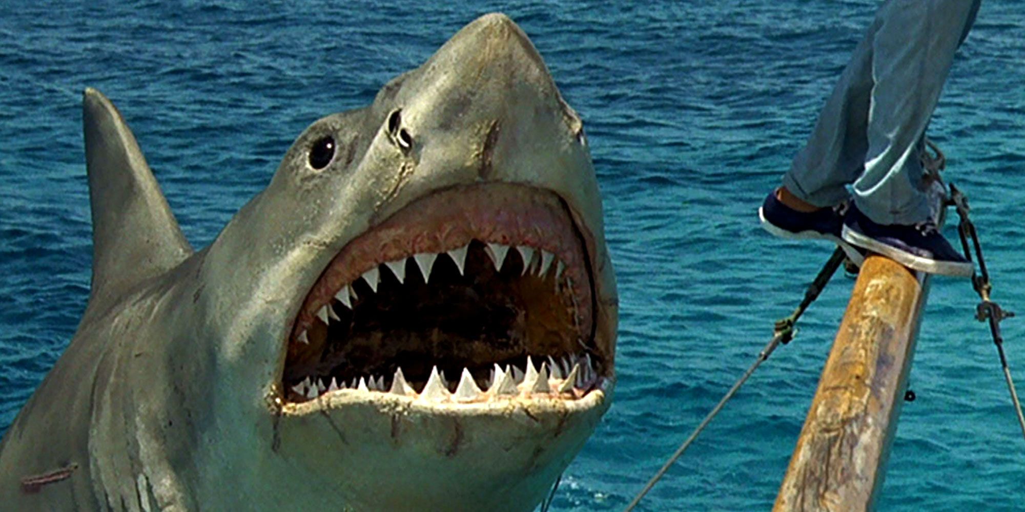 Every Jaws Movie Ranked, Worst To Best