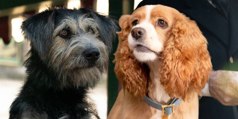 Lady and the Tramp 2019 Disney Plus: still of Tramp and Lady