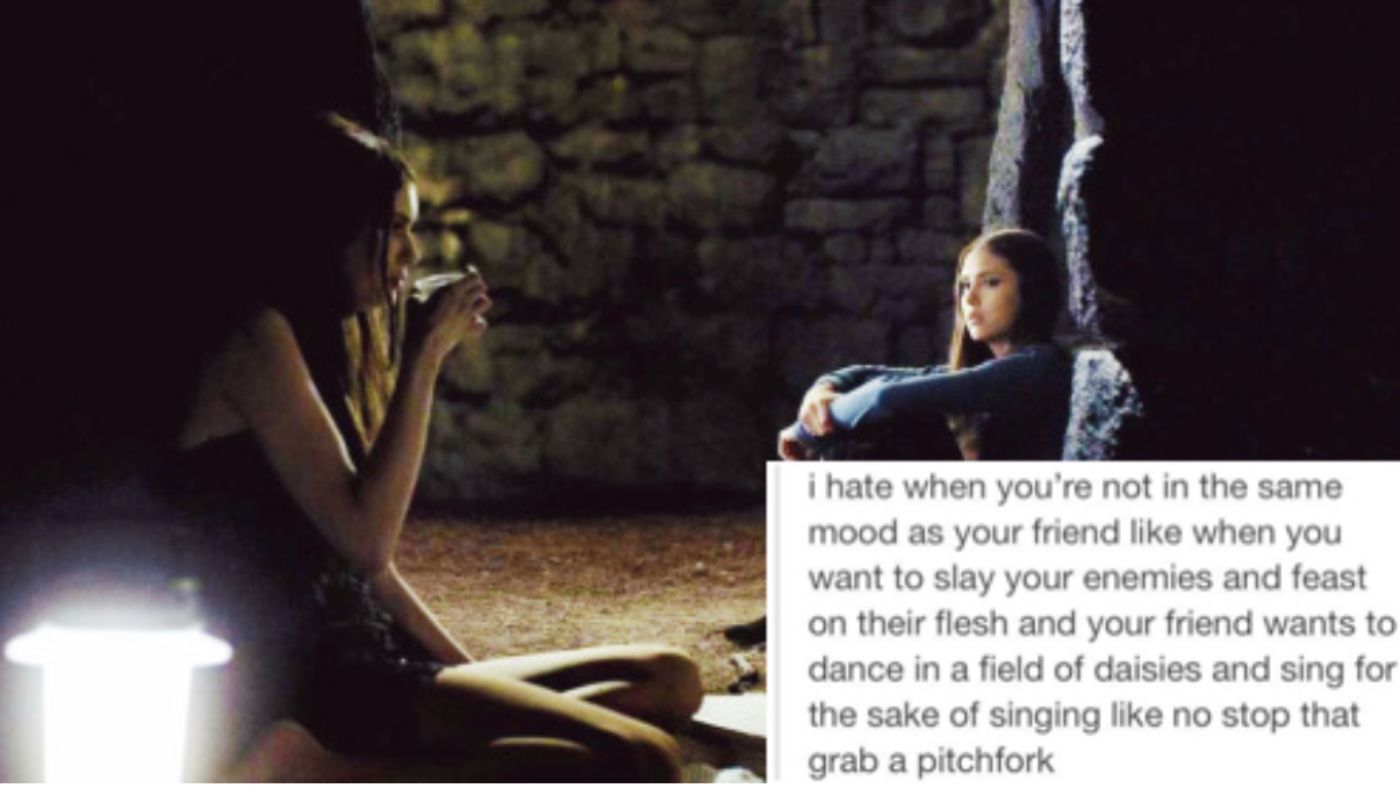 The Vampire Diaries Hilarious 10 Katherine Memes That Only True Fans Will Understand