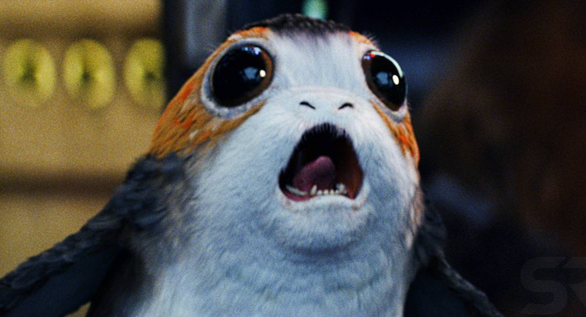 Porg Star Wars: The Last Jedi's PORG Hero Finally Has a Name