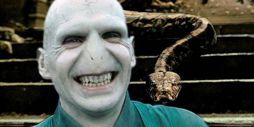 Voldemort Slith Harry Potter: 20 Crazy Details About Voldemort’s Body
