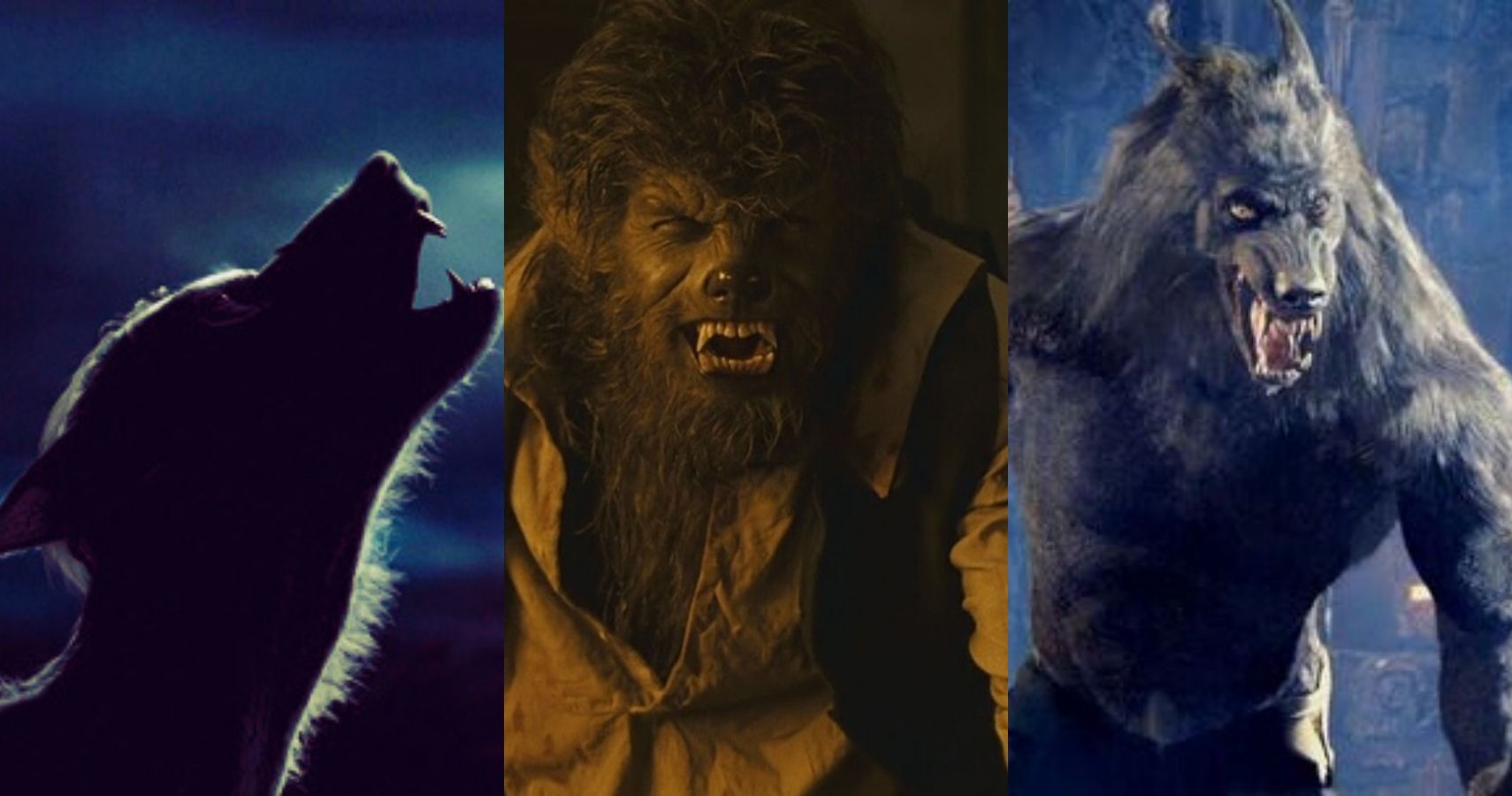 Hasil gambar untuk werewolf