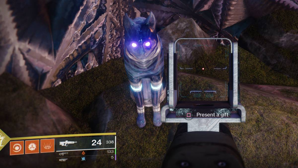 Destiny 2 Guide: All Cat Locations in Dreaming City
