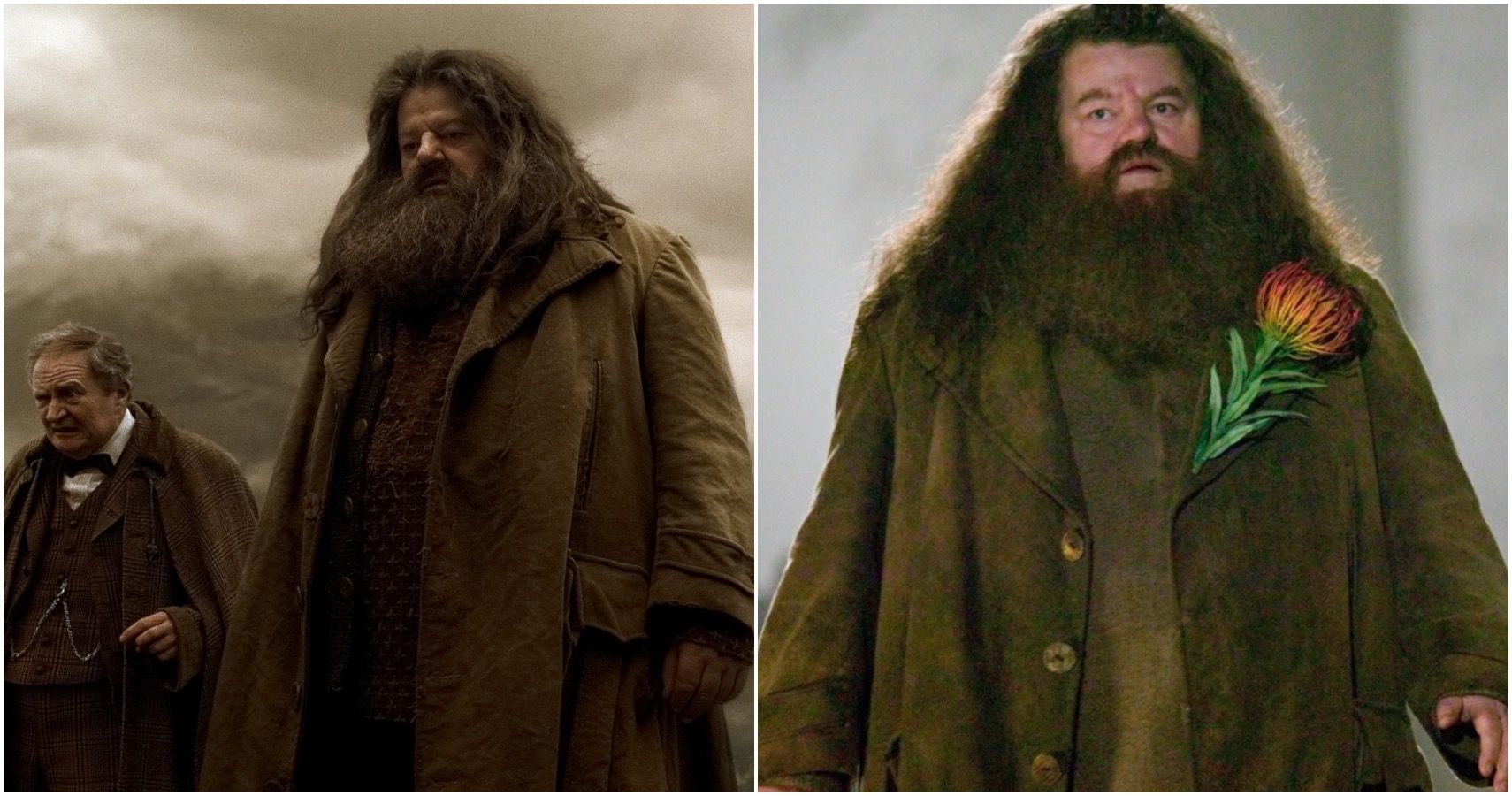 Harry Potter: 10 Hidden Details About Hagrid