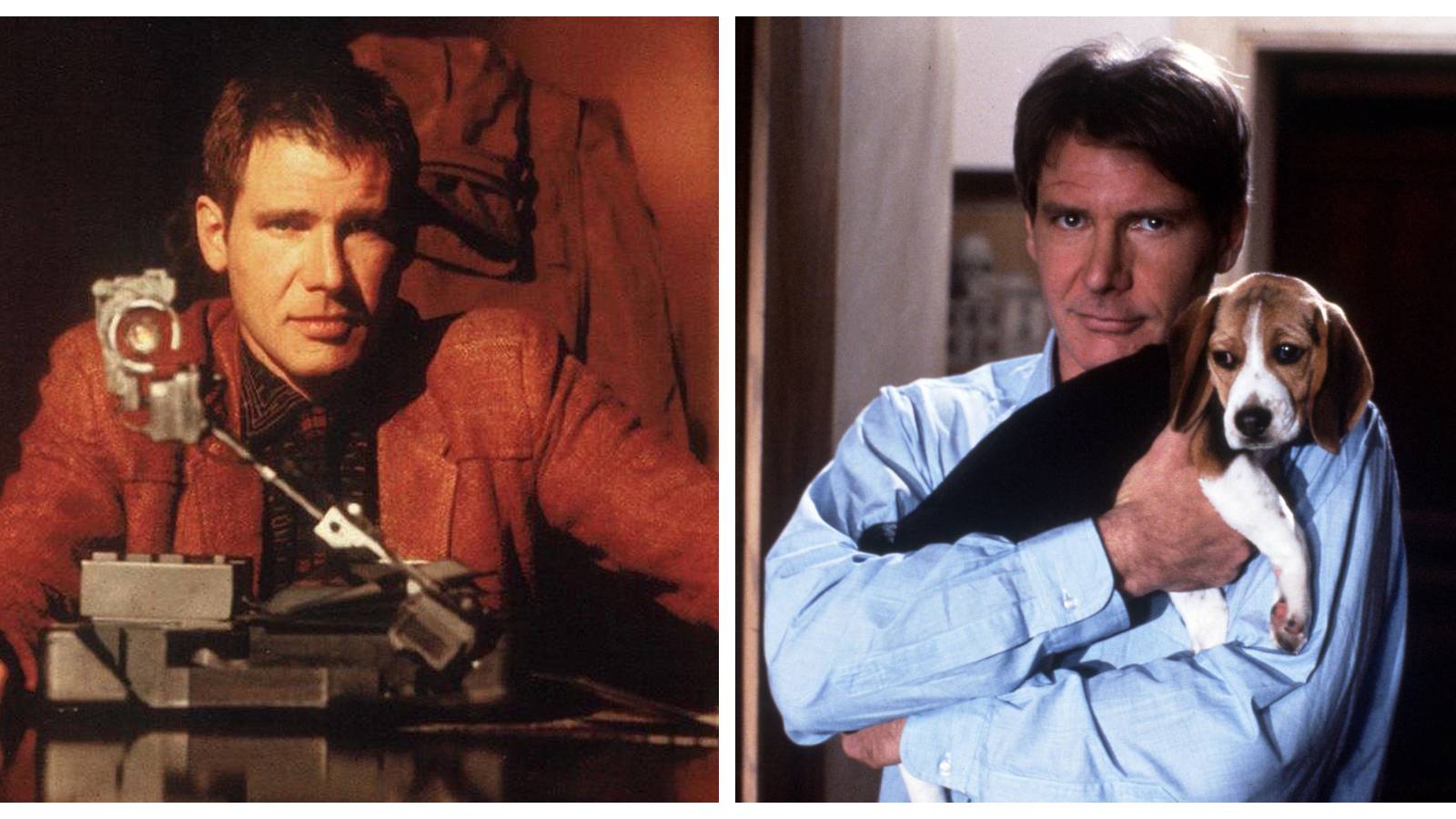 Harrison Ford: 10 Hilarious Memes Of Hollywood's Favorite Stoic