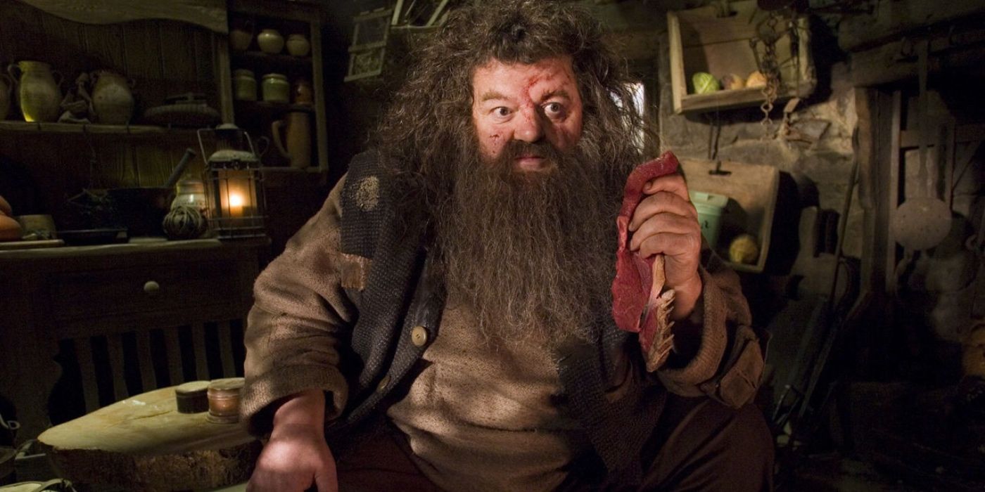 El remake de Harry Potter de HBO necesita arreglar el peor momento de Hagrid