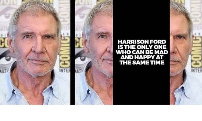 Harrison Ford: 10 Hilarious Memes Of Hollywood's Favorite Stoic