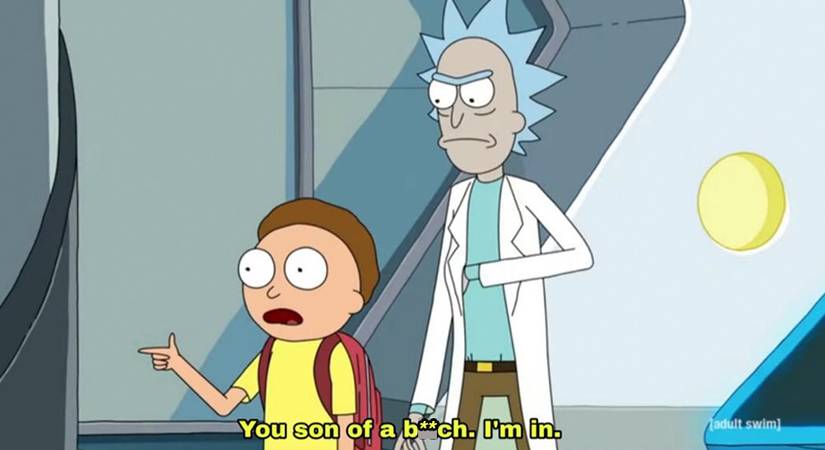10 Best Rick & Morty Memes Only True Fans Will Understand