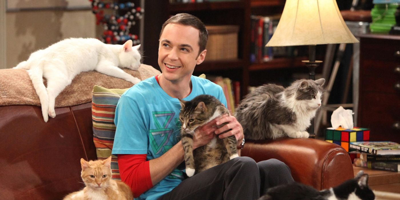 Sheldon Cat Big Bang Theory