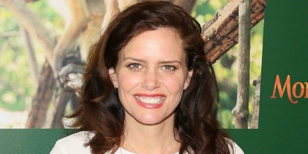 Ione Skye marriage