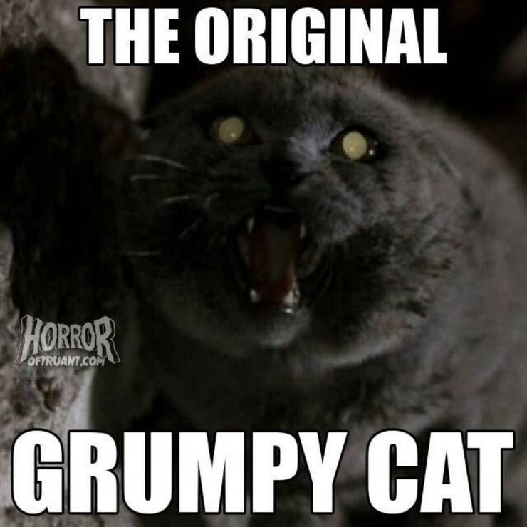 10 Stephen King Movie Memes That Are Too Hilarious For Words