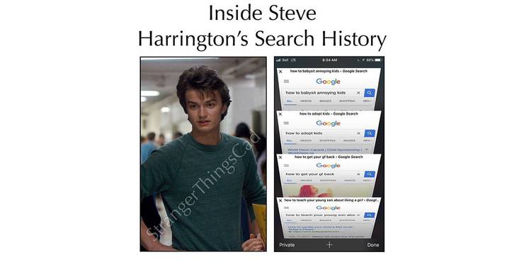 Stranger Things 10 Hilarious Steve Harrington Memes That Will