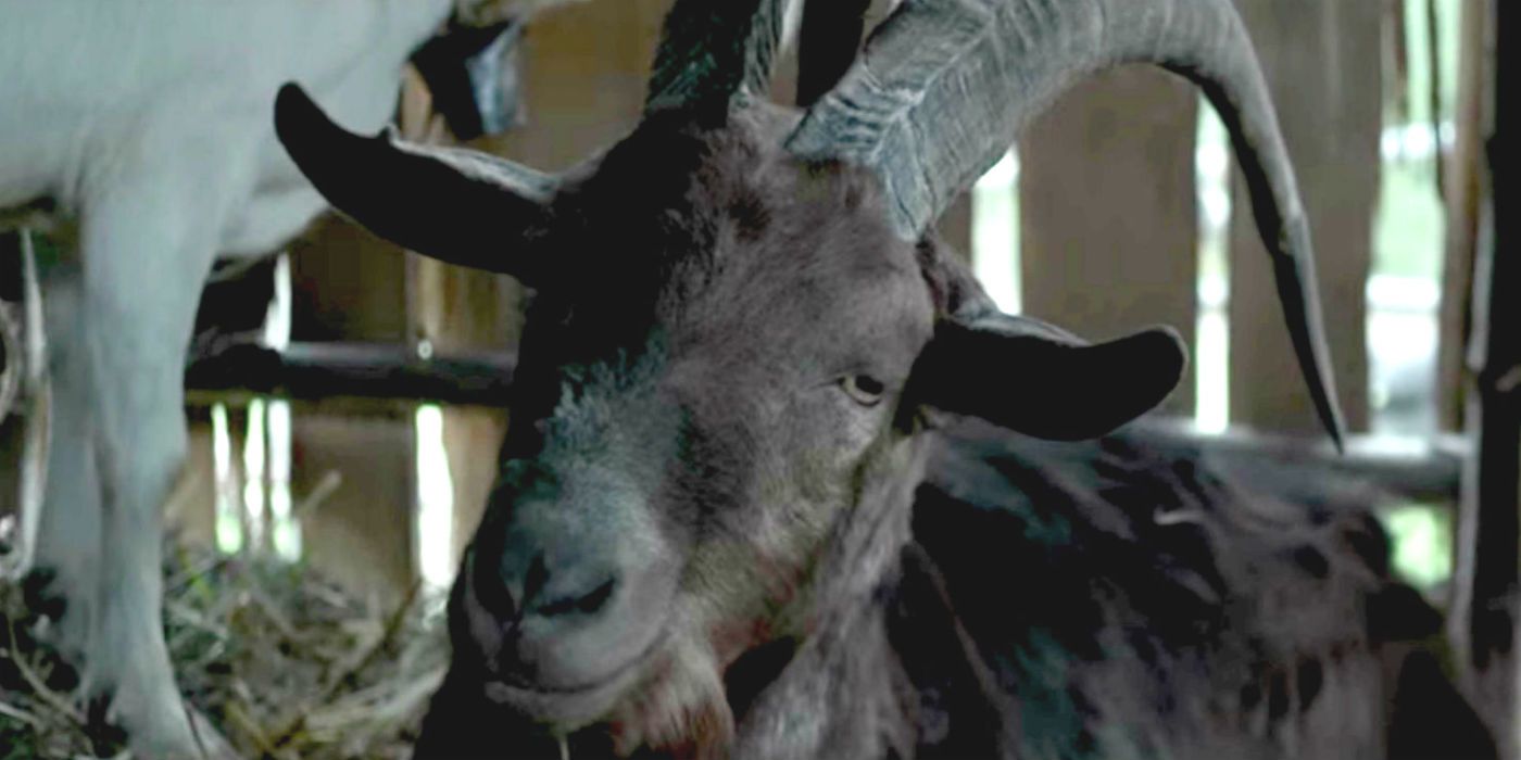 The Witchs Black Phillip Almost Killed One Of The Movies Actors