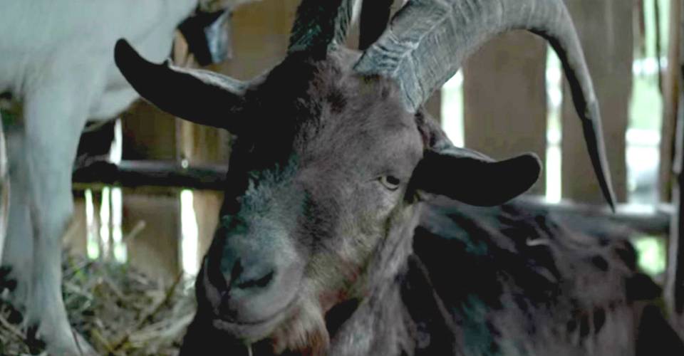 "The Witch": 10 datos curiosos de la cinta de brujería y terror sobrenatural