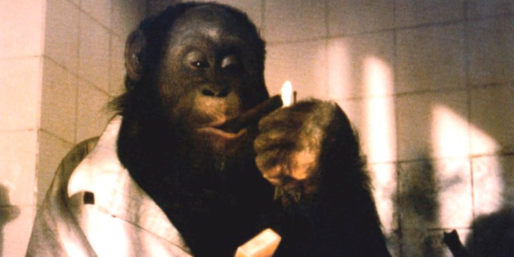 10 Silliest Apes In Horror Movie History Ranked